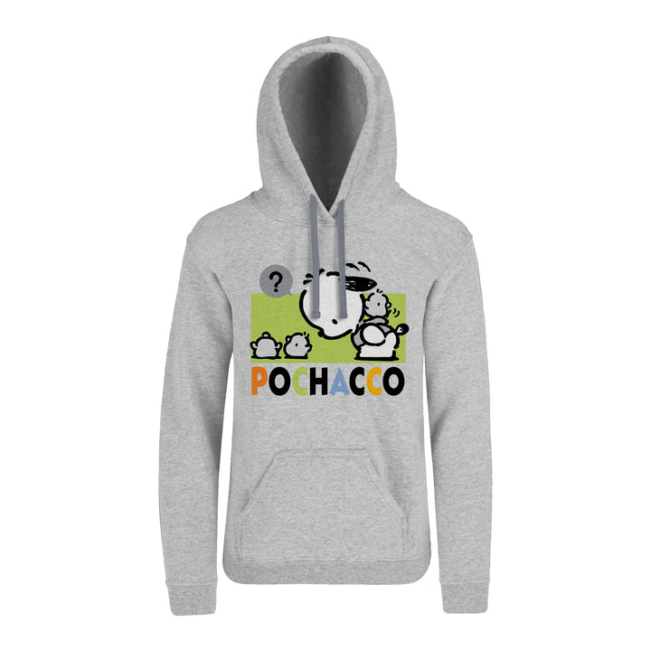 Hoodie Pochacco - Question